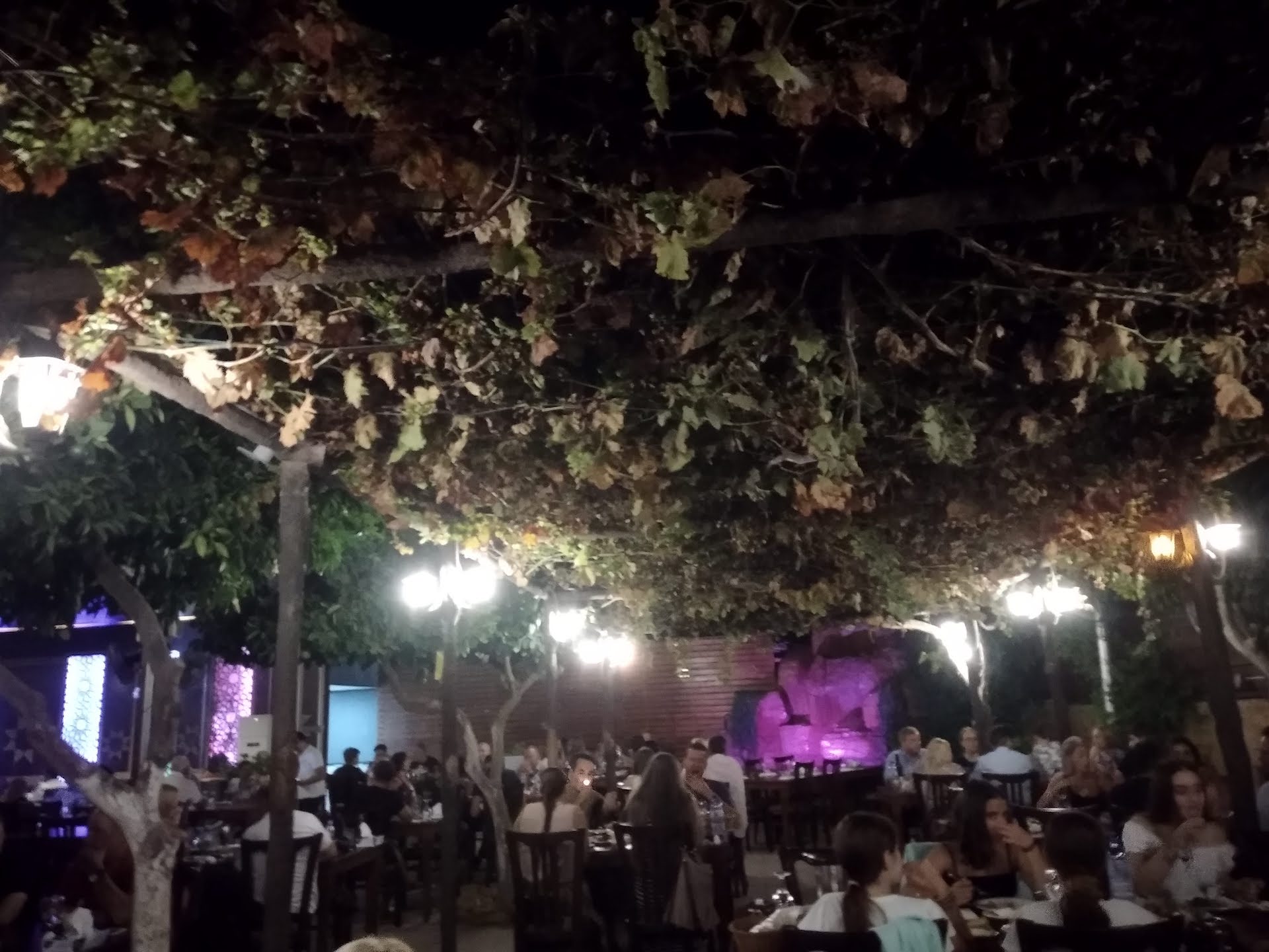 Syrian restaurant photo 3 in Limassol