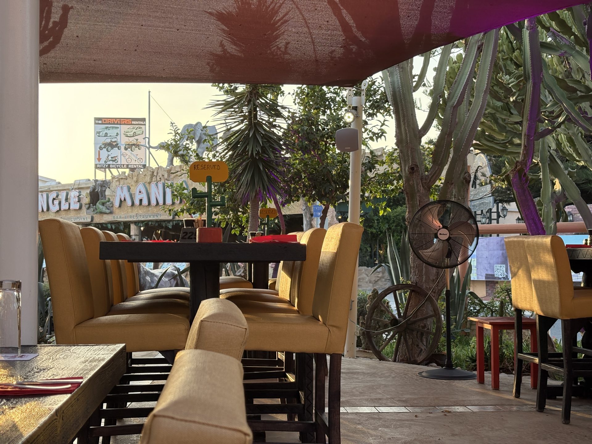 Tequila Garden main photo in Ayia Napa