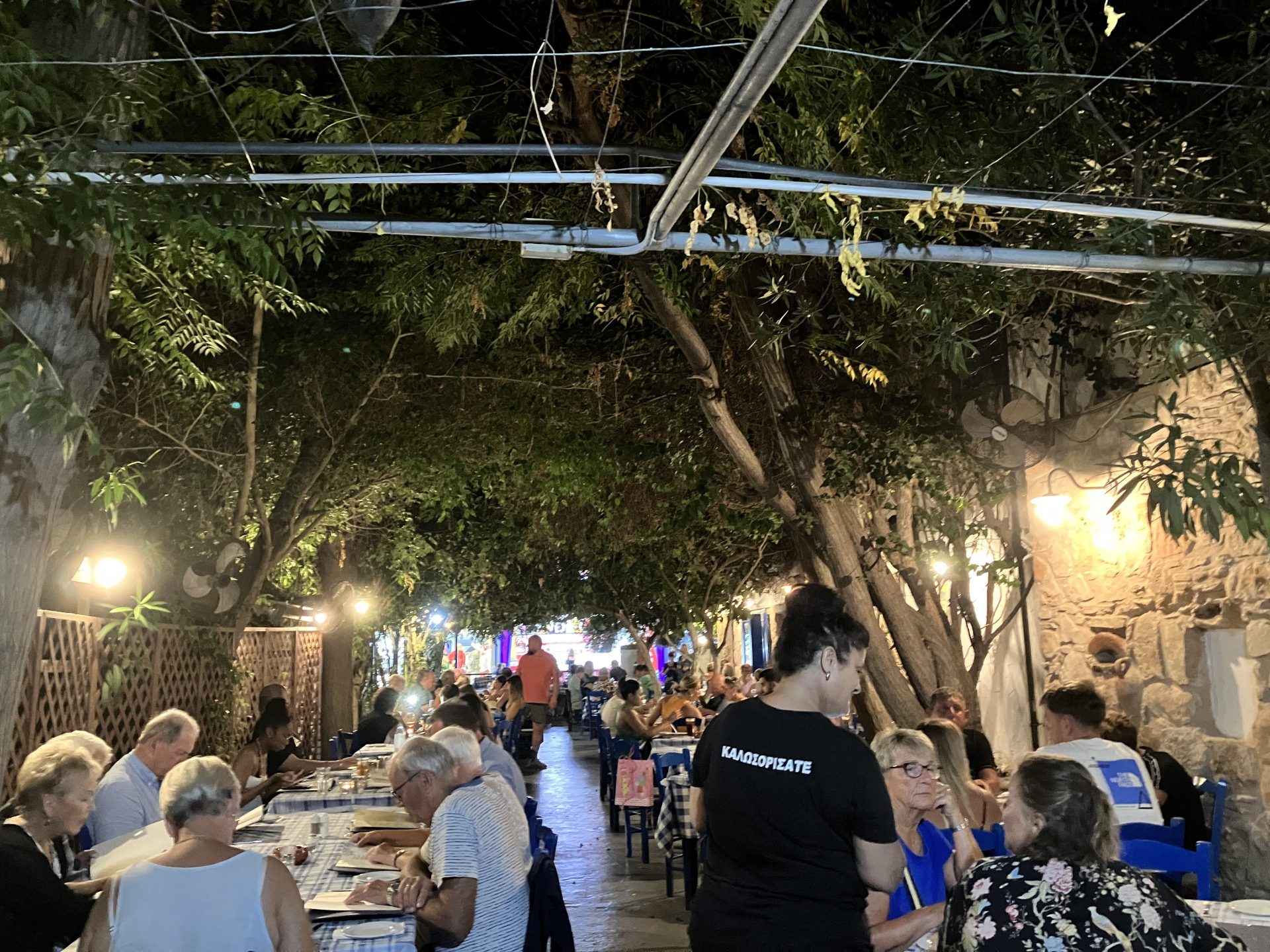 Tonys Taverna main photo in Ayia Napa